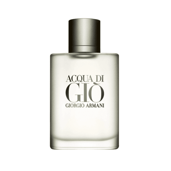 Armani Acqua Di Gio by Giorgio Armani 100ml